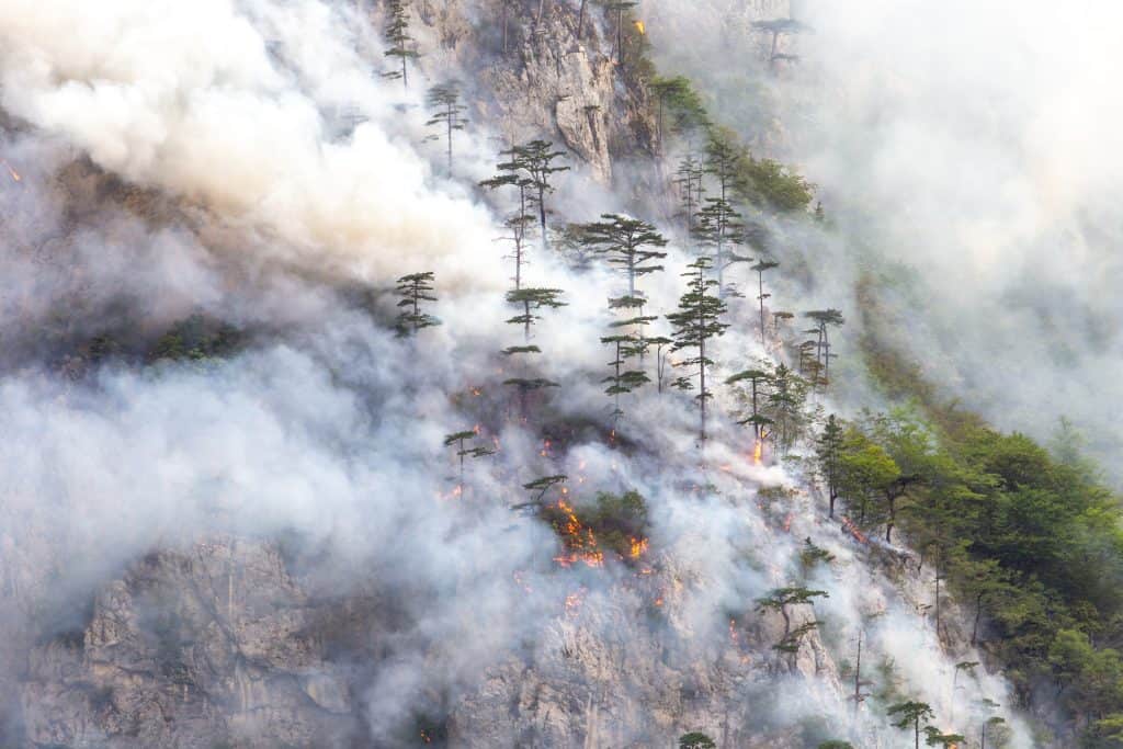 Utjecaj klimatskih promjena na okoliš i životinjske vrste