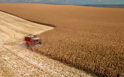 Kosilice, balirke i berači – sve što trebate za košnju i berbu