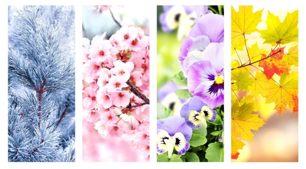 Zašto imamo četiri godišnja doba i kako ih određuje Zemljina putanja Zašto imamo četiri godišnja doba i kako ih određuje Zemljina putanja