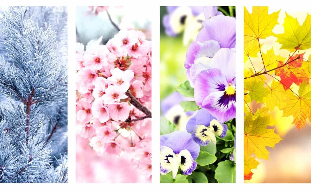 Zašto imamo četiri godišnja doba i kako ih određuje Zemljina putanja